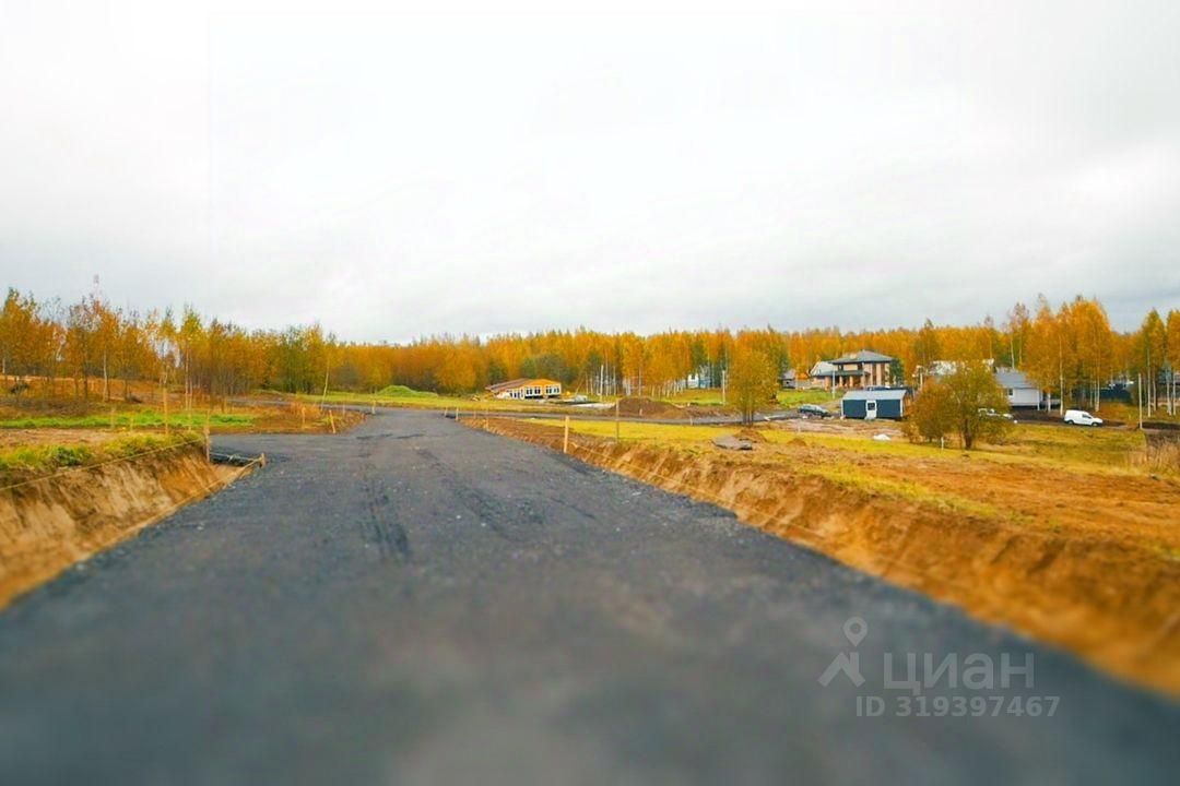Продажа земли Александрийский Парк кп, д. Скотное,  д. Л46