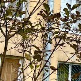 Продажа 3-комн квартиры на вторичном рынке бульвар Новаторов, 34