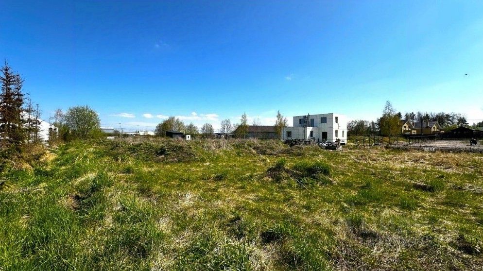 Продажа земли Велигонты кп, д. Велигонты, 103