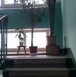 Продажа 2-комн квартиры на вторичном рынке Люберцы г, Побратимов ул,  д. 22