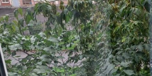 2-комн квартира Большеохтинский проспект, 11К1