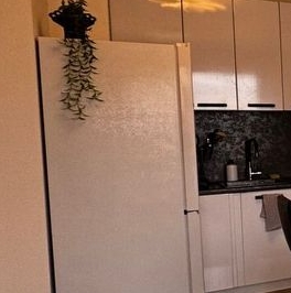 Аренда 1-комн квартиры на вторичном рынке Большой Сампсониевский проспект, 69к1 Аренда 1-комн квартиры на вторичном рынке Большой Сампсониевский проспект, 69к1