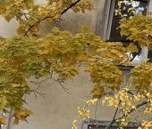 Продать Квартиры вторичка Трамвайный проспект, 7К1   