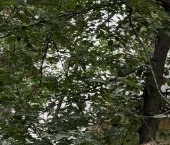 Продать Квартиры вторичка Волгоградский проспект, 51   