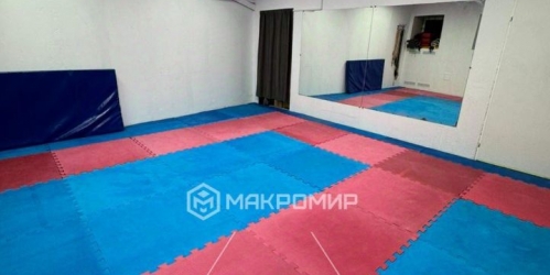 Помещение свободного назначения Коломенская улица,  д. 44