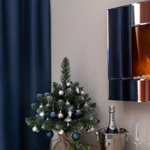 Студия пос. Парголово, проезд Толубеевский, 8к2