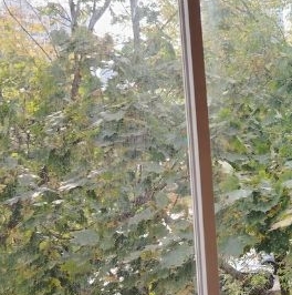 Продажа 1-комн квартиры на вторичном рынке Балаклавский проспект, 10К3 Продажа 1-комн квартиры на вторичном рынке Балаклавский проспект, 10К3