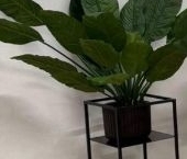 Сдать в аренду Квартиры вторичка улица Петра Алексеева, 14   