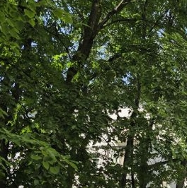 Продажа комнаты улица Свободы, 17