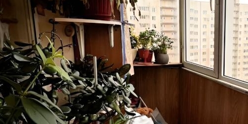 3-комн квартира 5-й Предпортовый проезд, 12к1