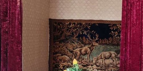 2-комн квартира Красное Село, проспект Ленина, 67