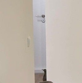 Аренда 1-комн квартиры на вторичном рынке Очаковское шоссе, 5к2 Аренда 1-комн квартиры на вторичном рынке Очаковское шоссе, 5к2