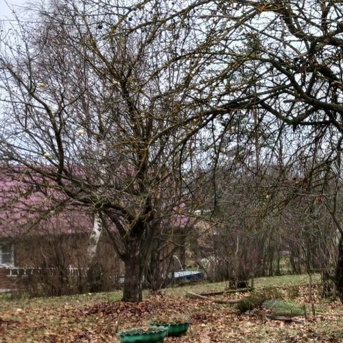 Коттедж/дом д. Пижма, 10