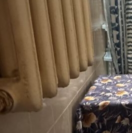 Аренда 1-комн квартиры на вторичном рынке пос. Понтонный, Заводская улица, 16 Аренда 1-комн квартиры на вторичном рынке пос. Понтонный, Заводская улица, 16