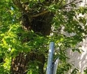 Продать Квартиры вторичка Руза, Федеративный проезд, 12   