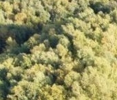 Продать Земельные участки, земля Стеклянный Ручей кп, 407   