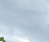 Продать Квартиры вторичка Андреевка пгт, 45   