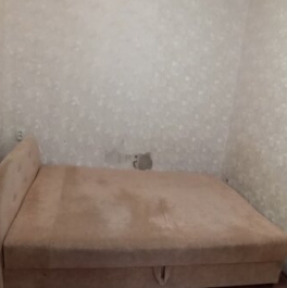 Аренда 2-комн квартиры на вторичном рынке Бронницкая улица,  д. 37