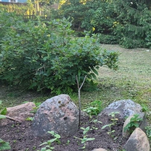 Коттедж/дом д. Покизен-Пурская, 29