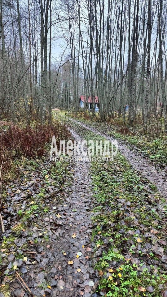 Продажа земли Садовые участки