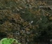 Продать Земельные участки, земля Скандинавские высоты ДНП, 1-я линия   