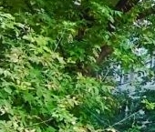 Продать Квартиры вторичка улица Полбина, 46   