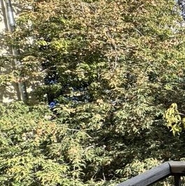 Продажа 2-комн квартиры на вторичном рынке Поварская улица, 29/36С1