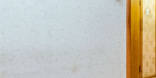 1-комн квартира Полюстровский проспект, 5