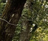 Продать Квартиры вторичка Апрелевка, улица Комсомольская, 5   