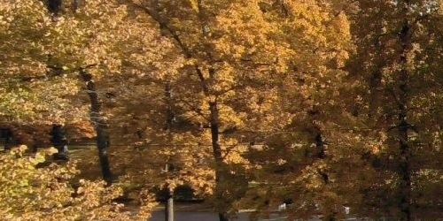 Комната пос. Стрельна, Фронтовая улица, 1
