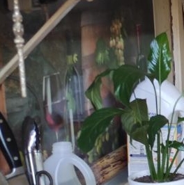 Аренда комнаты улица Академика Лебедева, 12