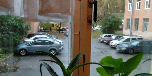 Комната 1-Муринский пр,  д. 19