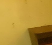 Продать Квартиры вторичка Воронежская улица, 86   