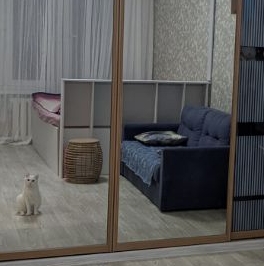 Продажа 1-комн квартиры на вторичном рынке Будайская улица, д. 11 Продажа 1-комн квартиры на вторичном рынке Будайская улица, д. 11