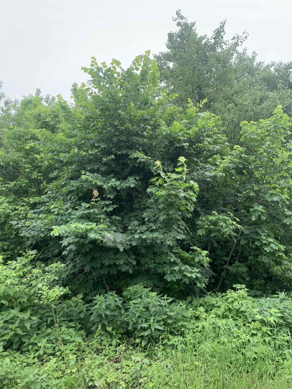 Продажа земли Таболово д.,