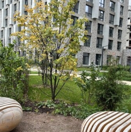 Продажа 1-комн квартиры на вторичном рынке Галерный проезд,  д. 1 к2