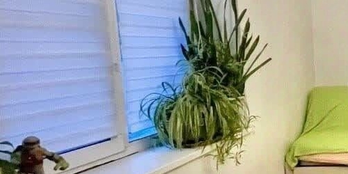 1-комн квартира Кубинская улица, 34