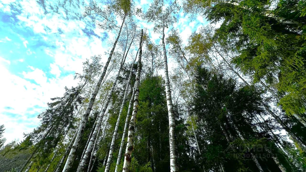 Продажа земли пос. Западная Лица, улица Рассветная