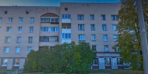 2-комн квартира Пушкин г, Вячеслава Шишкова ул,  д. 32/15