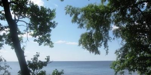 2-комн квартира Песочная ул, Репино п