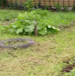 Продажа дома пос. Саперный, Центральная улица Продажа дома пос. Саперный, Центральная улица