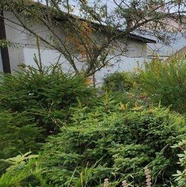 Продажа дома ЛВС Ленэнерго СНТ, аллея Нижняя, 8 Продажа дома ЛВС Ленэнерго СНТ, аллея Нижняя, 8