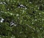 Продать Квартиры вторичка 1-я Дубровская улица, 5   