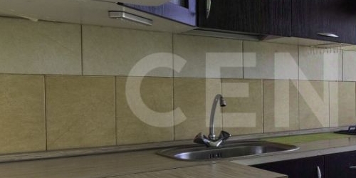 2-комн квартира Светлановский проспект, 48/19