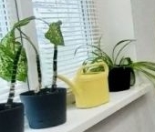 Продать Квартиры вторичка Сергиев Посад, Новоугличское шоссе, 94   