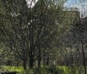 Продать Земельные участки, земля д. Низино, Подгорная улица   