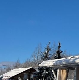 Продажа дома Павловск, Павловское-1 СНТ, 148 Продажа дома Павловск, Павловское-1 СНТ, 148