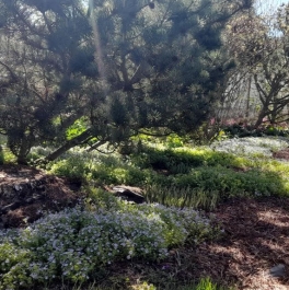 Аренда дома Пески, улица Генерала Краснова, д. 20 Аренда дома Пески, улица Генерала Краснова, д. 20