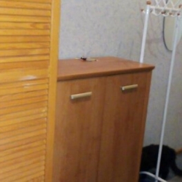 Аренда 1-комн квартиры на вторичном рынке Казачий Б. пер,  д. 8