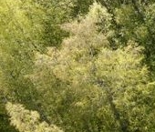 Продать Земельные участки, земля Времена Года кп, улица Добролюбова   